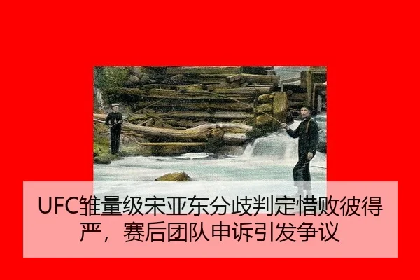UFC雏量级宋亚东分歧判定惜败彼得严，赛后团队申诉引发争议