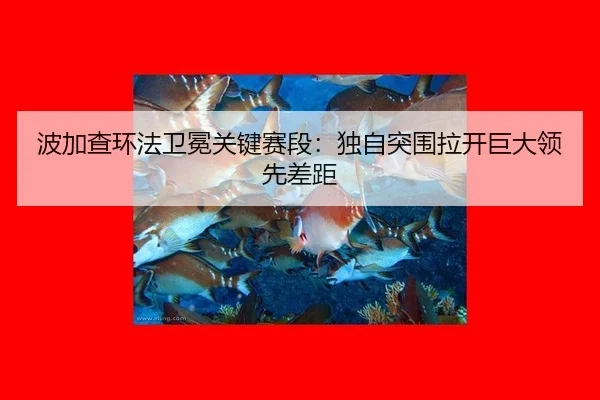波加查环法卫冕关键赛段：独自突围拉开巨大领先差距