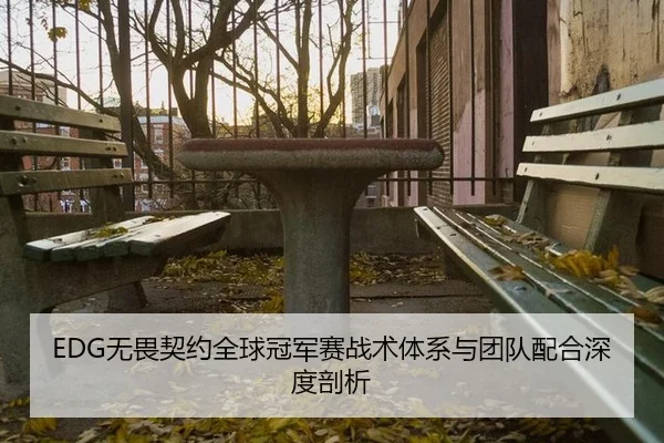 EDG无畏契约全球冠军赛战术体系与团队配合深度剖析